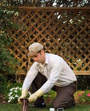 Lloyd Pest & Termite Control image 14