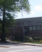 Diamond Dental Care, PLLC image 2