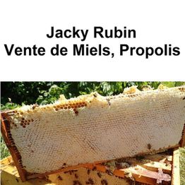 Rubin Jacky