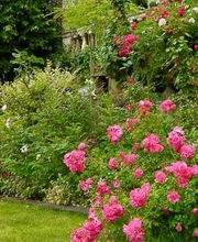 l'hermitage image 12