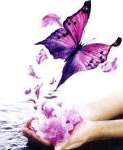 Sadlocha Mélanie image 5