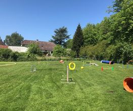 Küstenwolf Hundetraining Kiel Bild 14
