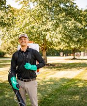 Mosquito Hero image 2