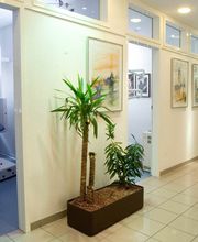 Zahnärztin Dr. med. dent. Aynur Sahin-Kurul Bild 4