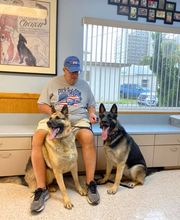Ormond Beach Family Vet image 3