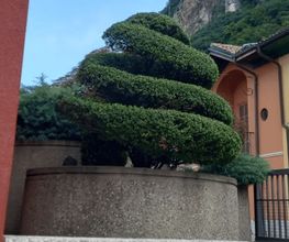 Vivai San Martino Bild 1