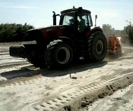 225356203-1-tSdOfukHEs1527696978485.jpeg