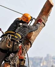 Sos Elagage & Energie Verte image 1