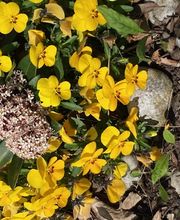 Fischer Philippe Bild 3