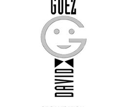 David Guez image 2
