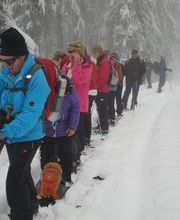 Pro Senectute pour les + 60 ans Bild 11