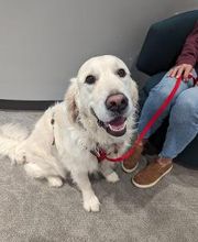 Oregon Kids Pediatric Dentistry image 1