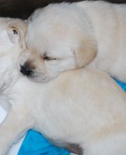 Tanja Wiedenmann Bild 18