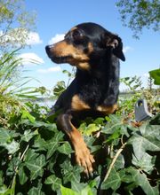 La Prairie à Milton image 3