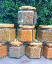 ApiZUG Bio srl immagine 4