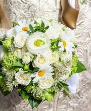 Bluemelade bim Schloss GmbH Bild 1