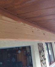 Termites Master image 8