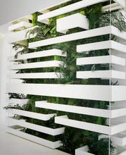 DECO-VEGETALE image 10
