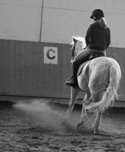 Manège de Pampigny Bild 10