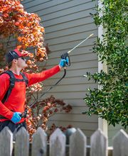 Pied Piper Pest, Termite & Lawn Service image 15