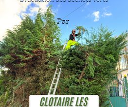 Clotaire les Espaces Verts image 4