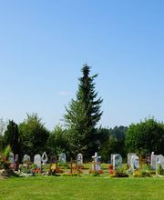 M&M Gartenbau AG Bild 10