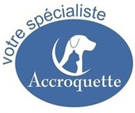 Accroquette image 4