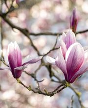 Sonnenhalde AG Psychiatrie und Psychotherapie Bild 8