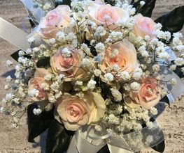 Blumen Kaiser Bild 6
