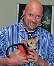 Middendorf Animal Hospital & Laser Centre image 19