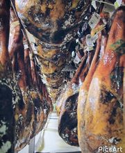 jamon_de_guijuelo.jpg
