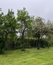 Grundstückspflege und Motorsägenkunst Colin Sand Bild 8