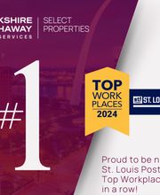 Frankie Meier Design2Sell image 5