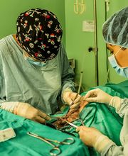 Clinica Veterinaria Leonardo da Vinci immagine 15