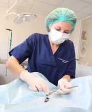 Clinique véterinaire des trois fontaines image 5