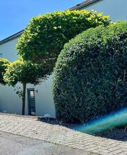 Landschaftspflege & Gartenbau Manuel Alten Bild 5