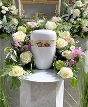 IMG_8575.jpg