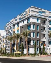 Rize Irvine image 9