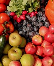 Marché Paysan Bühlmann Bild 9