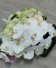 Fleur D'O image 12