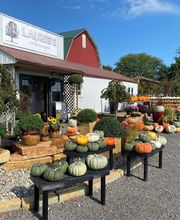 Laurie's Naturescapes image 4