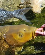 wasser.design by Veit Weise Bild 7