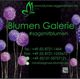 Blumen Galerie Dagmar Götz