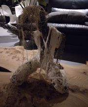 Milet Véronique image 1