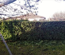 Maziere Espaces Verts image 10
