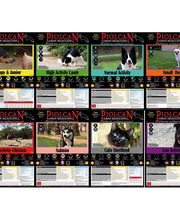Piolcan Adiestramiento Canino y centro de formación imagen 6