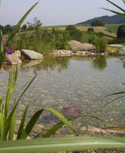 Wurm Garten- und Landschaftsbau in Mitterfels Bild 7