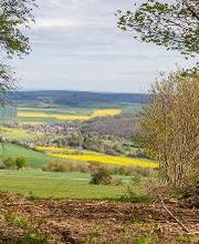 FriedWald Weilrod Bild 6