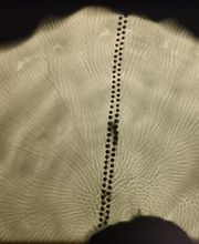 Quality Control NDT S.A. Bild 5