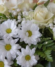 Pompes Funèbres TAYLOR FUNERAIRE image 7